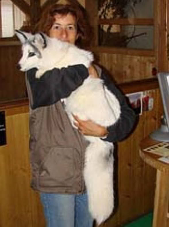 Ursula Demarmels - Committment to Animal Welfare. Ursula only "wears" living fur, here with the rescued fox Kibib at Gut Aiderbichl 2007 (c) Univ.-Prof. Dr. Gerhard W. Hacker 